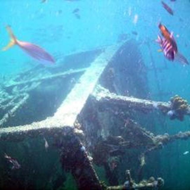 Snorkel Sail