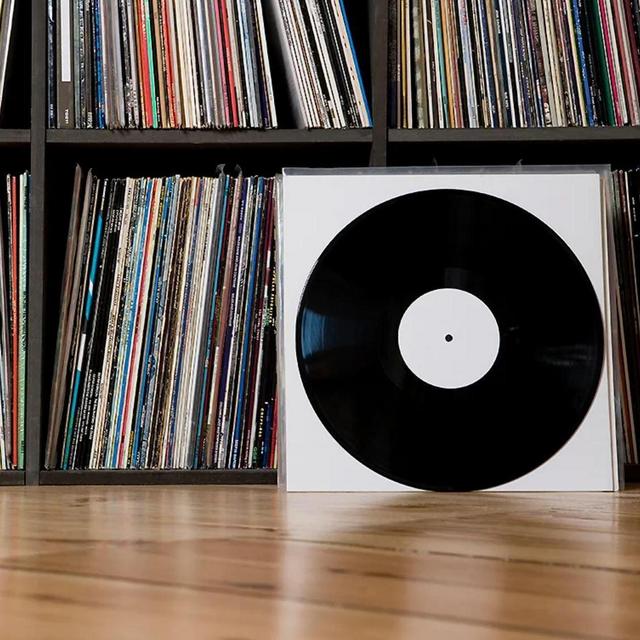 Vinyl Album Collection