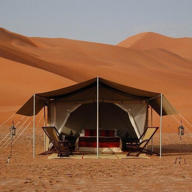 Overnight Desert Camel and Camping Trip