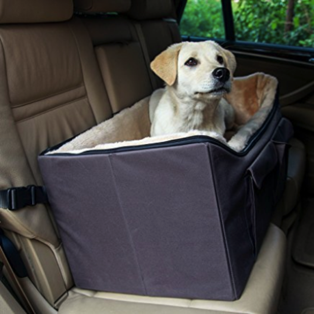 Petsfit Booster Seat for Dogs