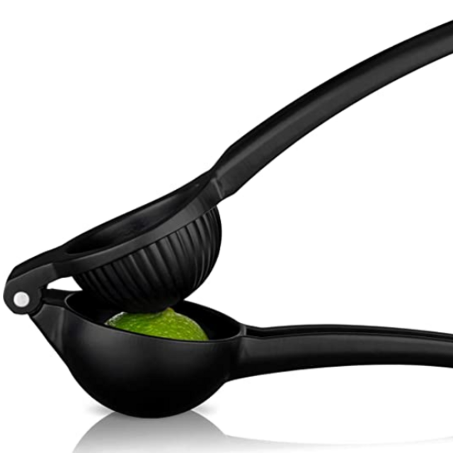 Citrus Juicer