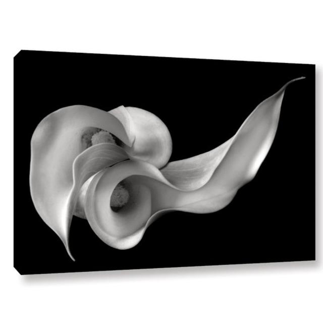 Calla Lily Photographic Print on Wrapped Canvas by Latitude Run