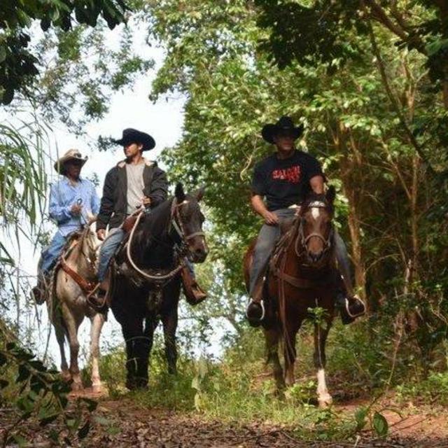 Mountain Waterfall Horseback Ride