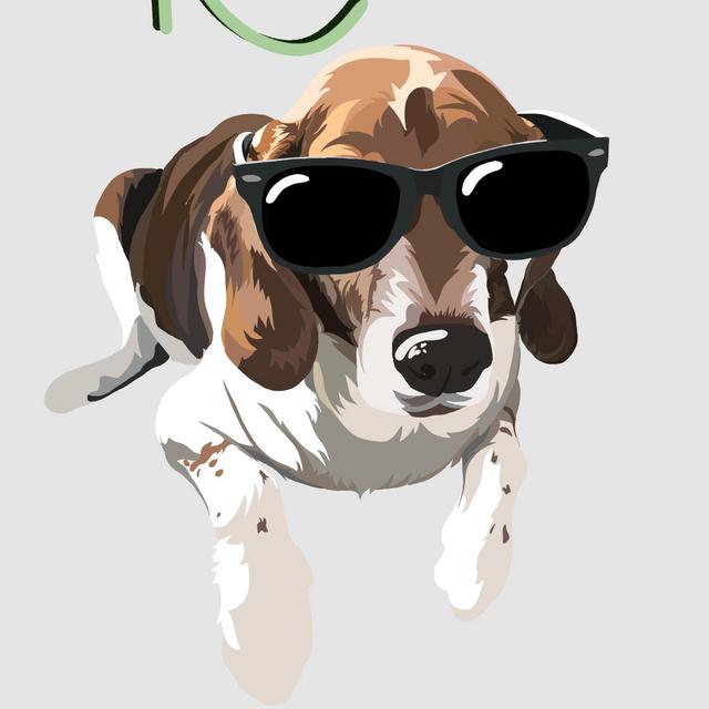 One Tail at a Time Donation