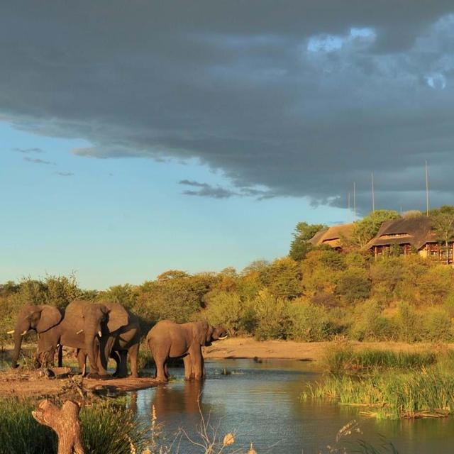 Honeymoon stay at Victoria Falls Safari Lodge, Zambia