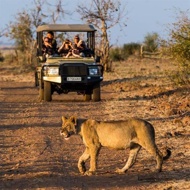 Honeymoon Safari in Chobe National Park, Botswana
