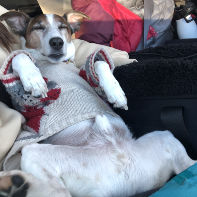 Donation in Hubble's Name