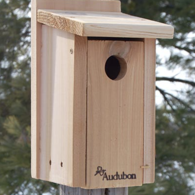 Audubon Cedar Bluebird House at BestNest.com