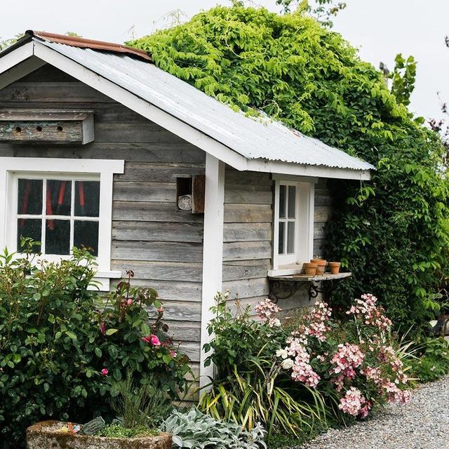 Christianson's Plant Nursery Gift Card