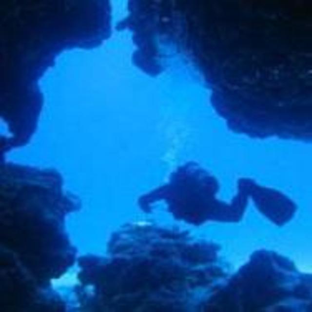Scuba Diving (2 tanks each)