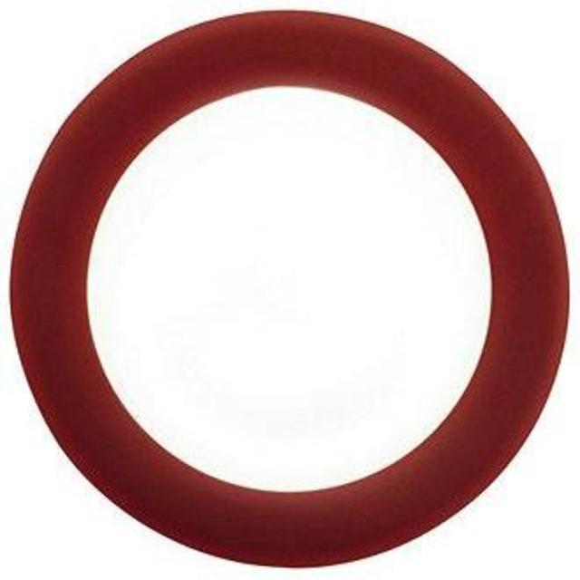 Noritake Colorwave Rim Dinner Plates- Raspberry