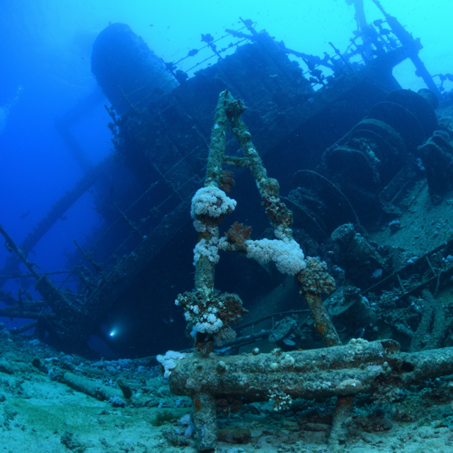 Shipwreck Snorkeling for Two