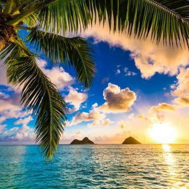 Honeymooning in Hawaii!
