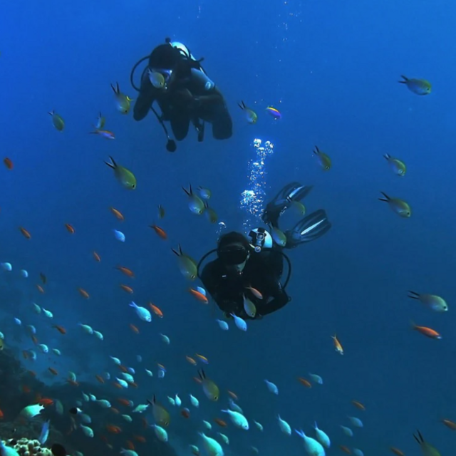 Scuba Diving Excursion