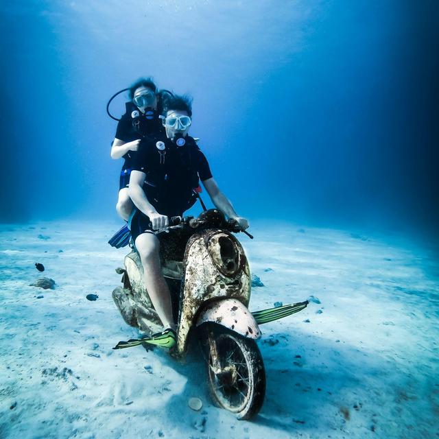 Scuba Certification Program