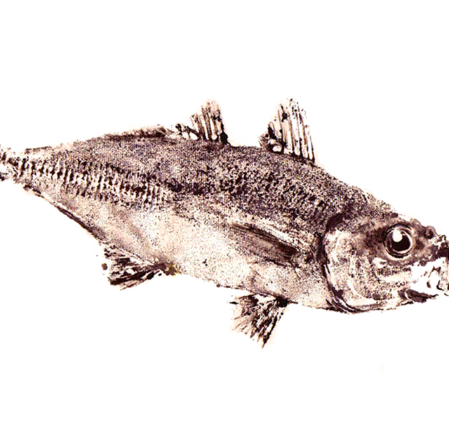 Gift Card to Sushi Dokku Restaurant