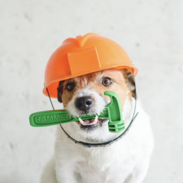 House Renovation Fund