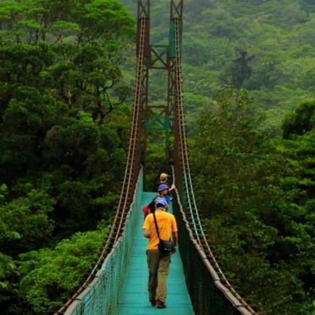 Costa Rican Adventures