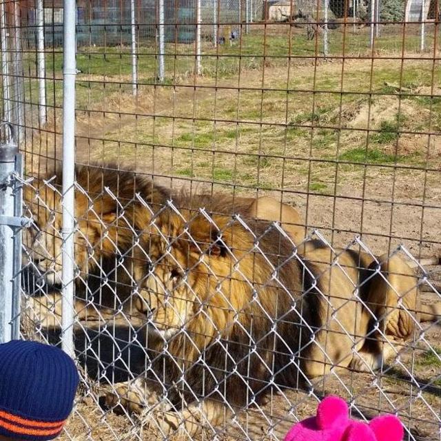 Conservators Center Fund