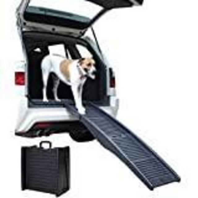Dog Ramp