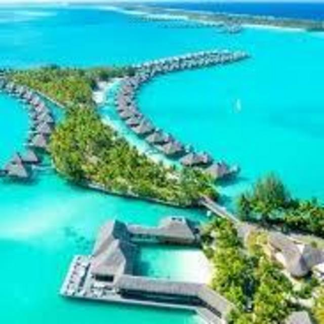 Honeymoon Fund