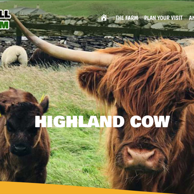 VIST HIGHLAND COWS (Honeymoon)