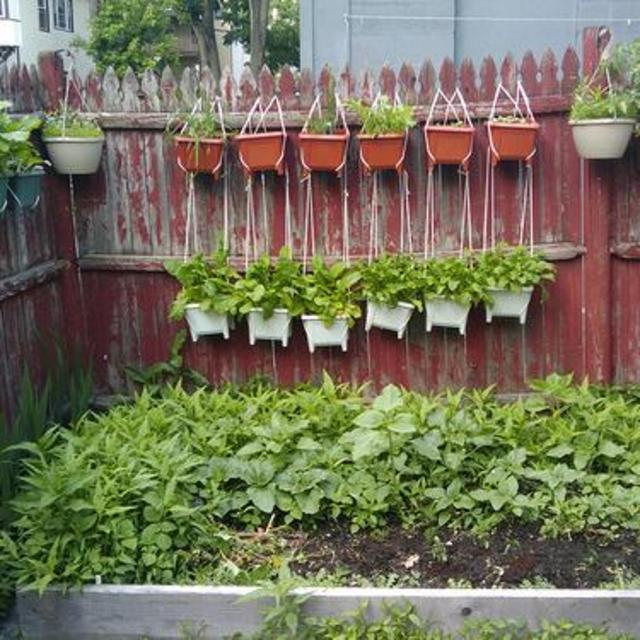 Sloat Garden Center Garden Design Consultation
