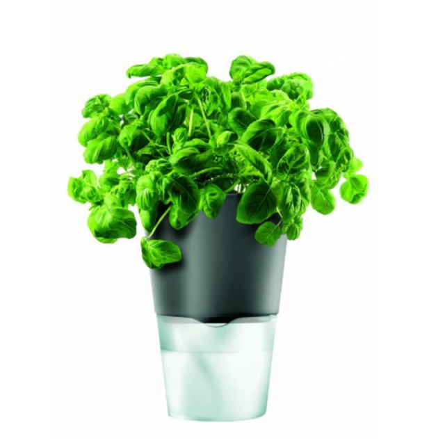Eva Solo Self-Watering Herb Pot, 13 cm Diameter, Dark Gray