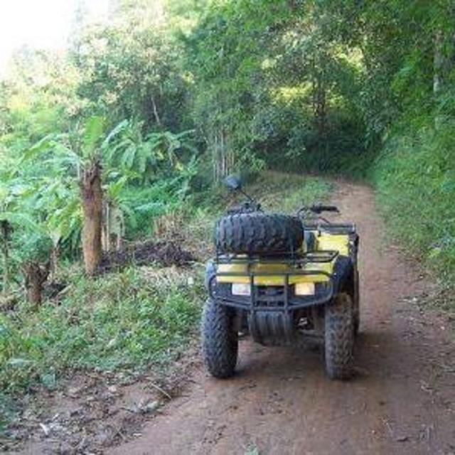 ATV Ride in Thai Jungle