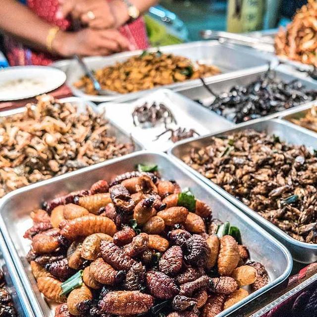 Insect Tasting in Thai Street Market