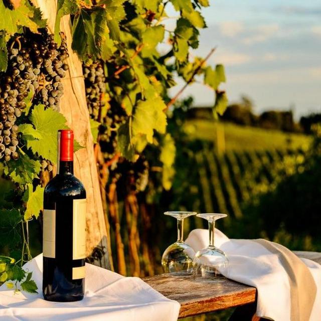 Wine Tour in Tuscany, Italy