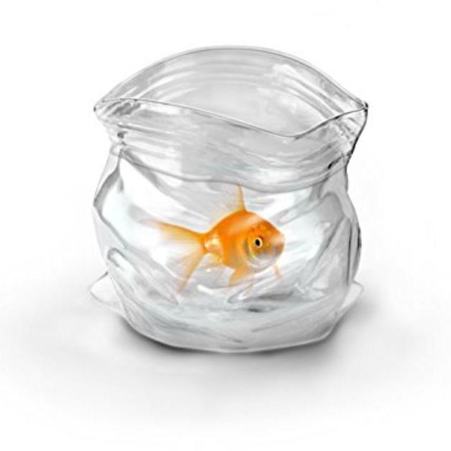 Awesome glass that looks like a platsic bag.  Yey.  fun.  I'm a nerd.