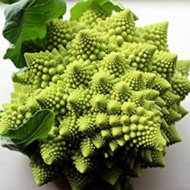 Broccoli Romanesco 50 Seeds per Packet - Rare & Unique