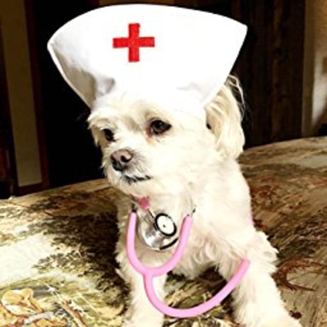 White Nurse Hat Headband with Red Cross ~ Halloween Costume Accessory