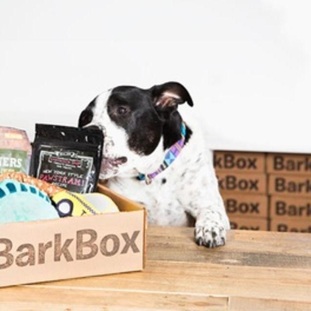 One- or Three-Month Dog Goodie Delivery Subscription with Extra Toy Club Membership from BarkBox (Up to 24% Off)