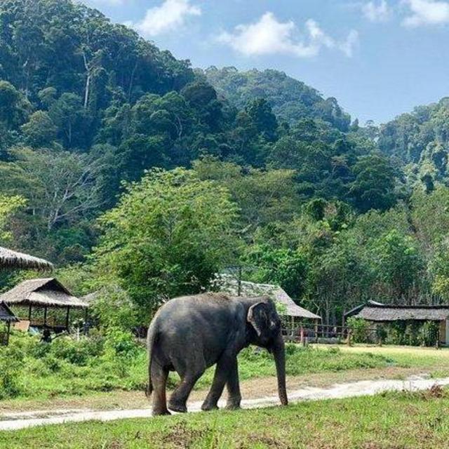 Day trip to Elephant Sanctuary