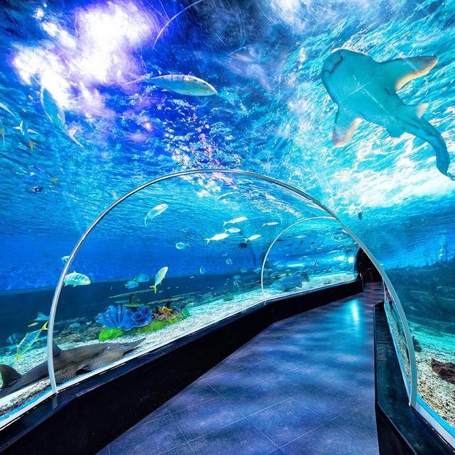Manila Ocean Park