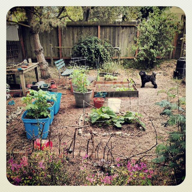 Help us plant things and fix stuff!