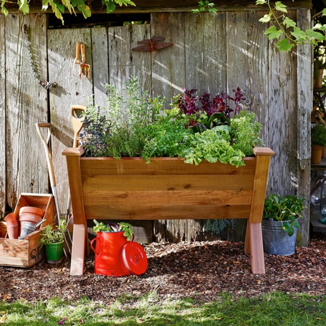 Gardening Project