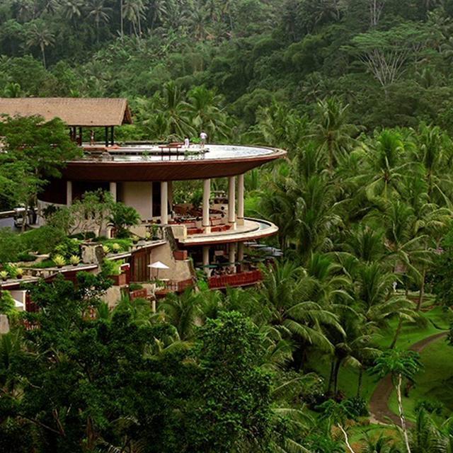 Dinner in Ubud