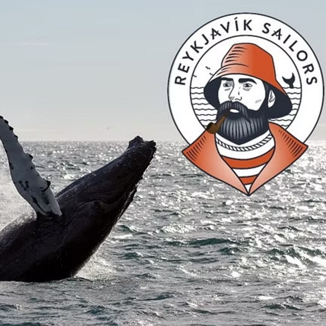 Whale Watching Ticket #2