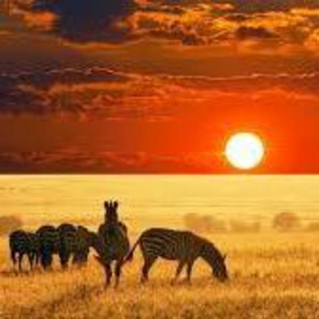 HONEYMOON FUND - AFRICAN SAFARI