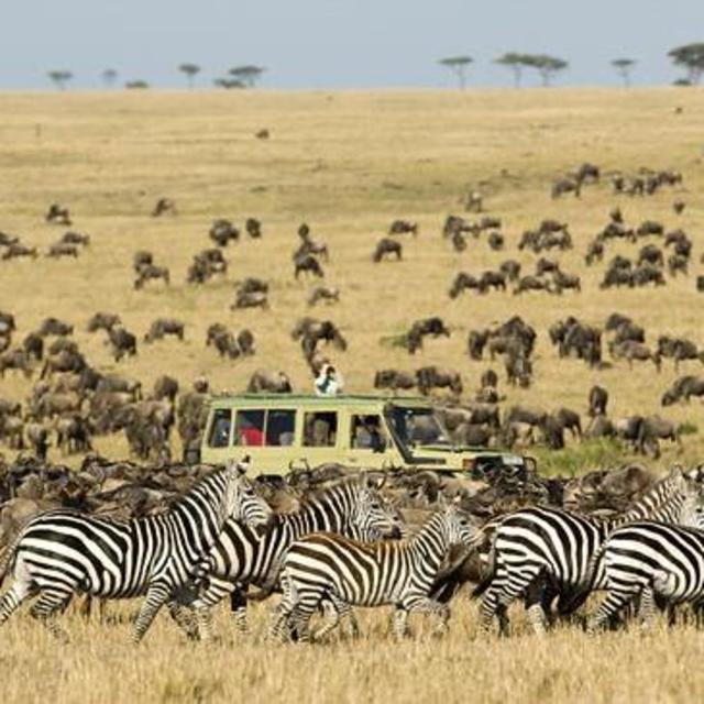 Tanzania Safari Day 1
