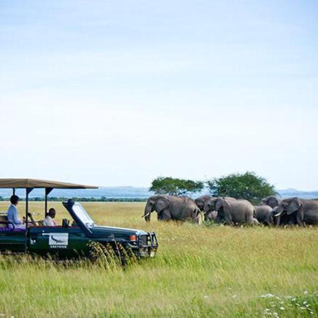 Tanzania Safari Day 2
