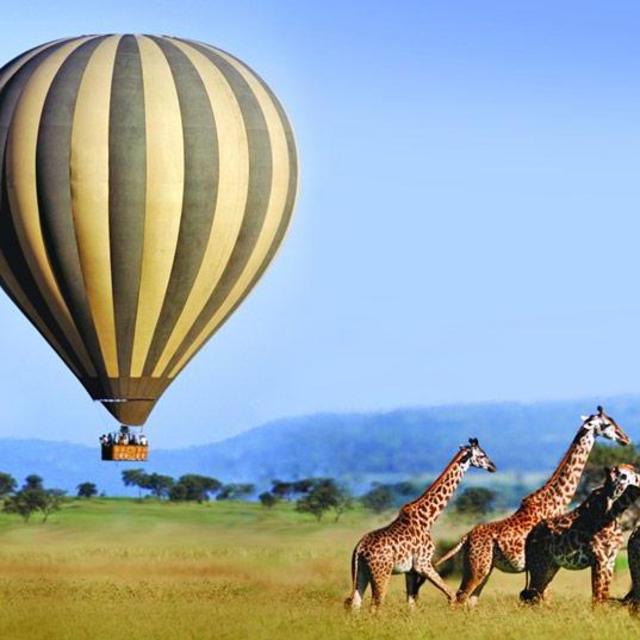 Serengeti Hot Air Balloon Ride