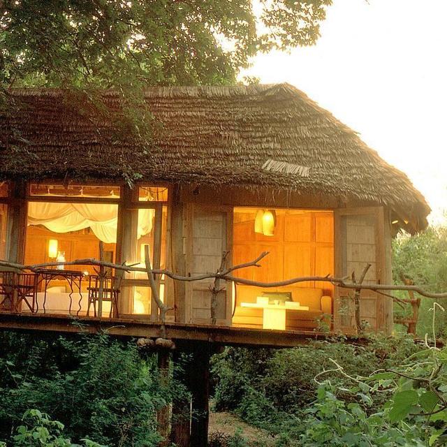 Treehouse Lodging