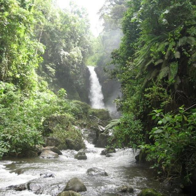 Guided Waterfall Hike