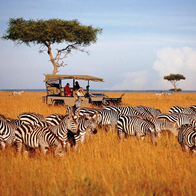 Tanzania Safari Day 4