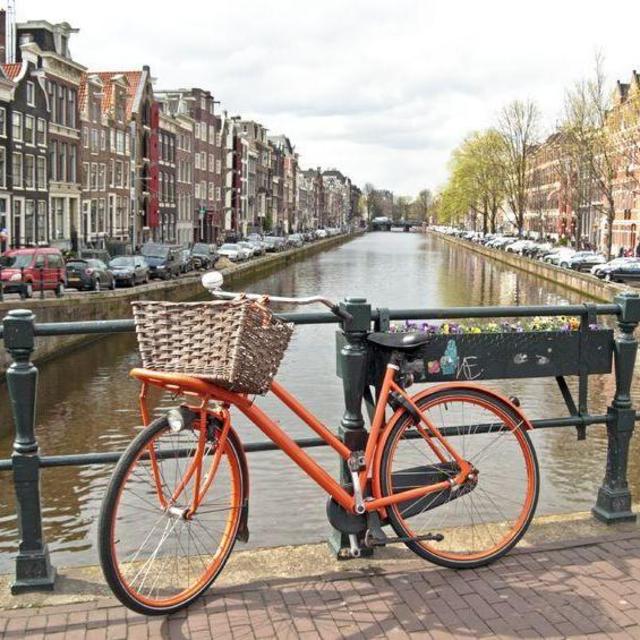 Amsterdam Bike Ride & Lunch