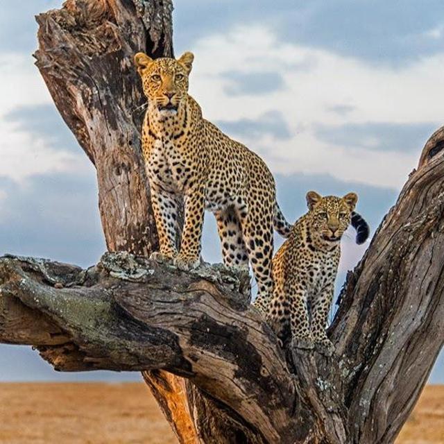 Tanzania Day 6